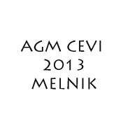 AGM CEVI 2013