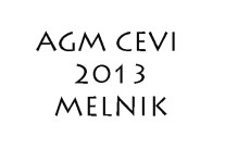 AGM CEVI 2013
